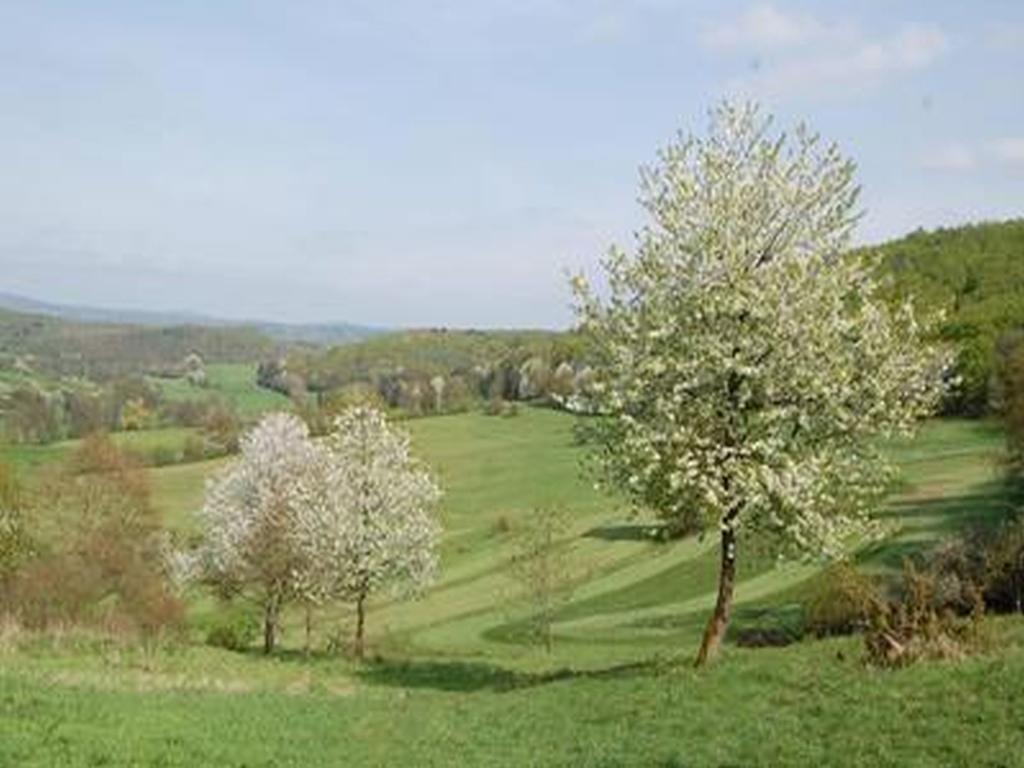 Apartament Land Und Leute Fritzlar Zewnętrze zdjęcie